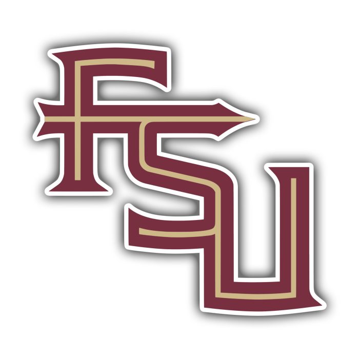 Florida State Seminoles - FSU - Iron On - Custom Size