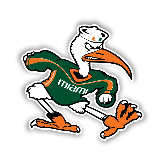 Miami Hurricanes - Sebastian the Ibis  - Iron On - Custom Size