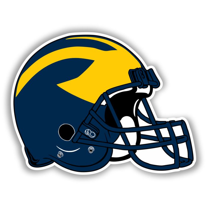 Michigan Wolverines - Helmet - Iron On - Custom Size