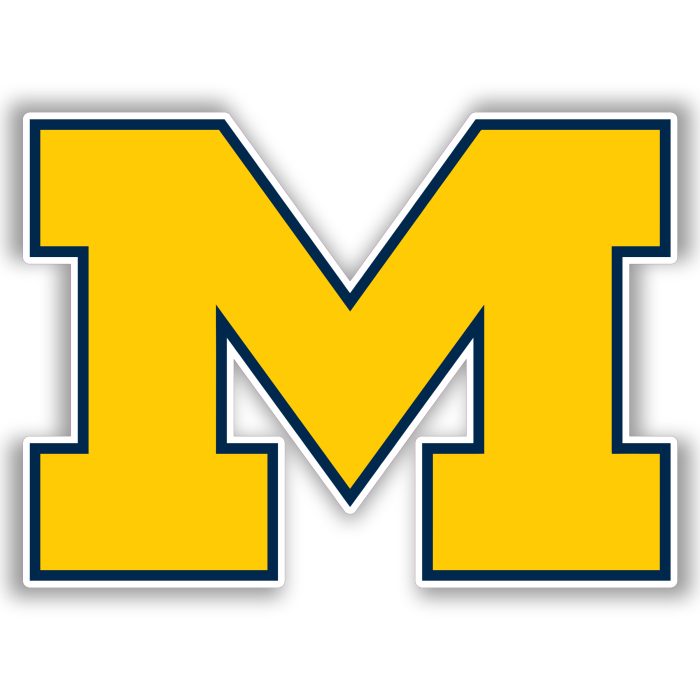 Michigan Wolverines - Yellow M - Iron On - Custom Size