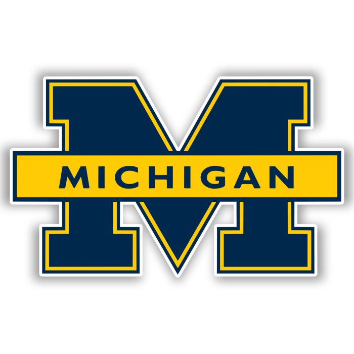 Michigan Wolverines - Blue M with Lettering - Iron On - Custom Size