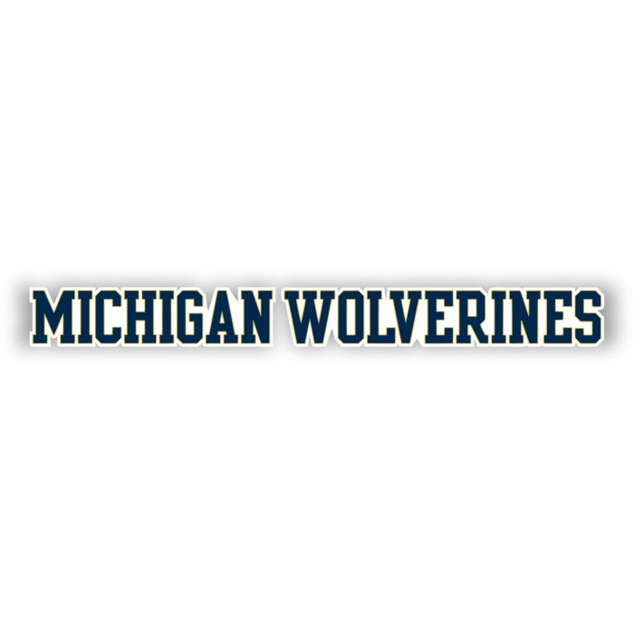 Michigan Wolverines - Blue Lettering - Iron On - Custom Size