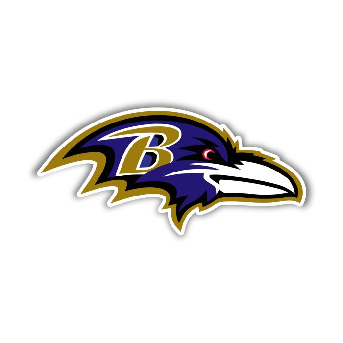 Baltimore Ravens - Raven Head with B - Iron On - Custom Size