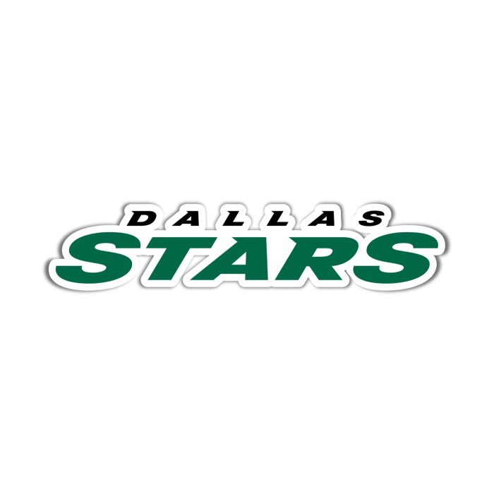 Dallas Stars - Name - Iron On - Custom Size