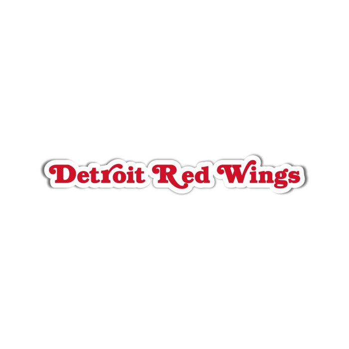 Detroit Red Wings - Name - Iron On - Custom Size