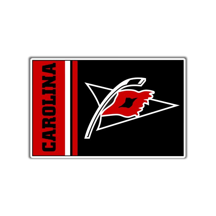 Carolina Hurricanes - Square With Carolina And Flag - Iron On - Custom Size