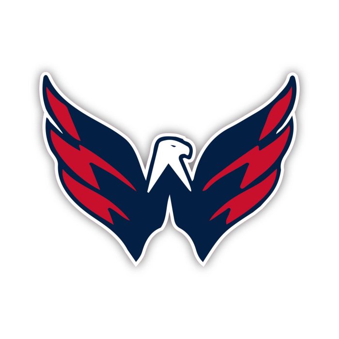 Washington Capitals - Bird  - Iron On - Custom Size