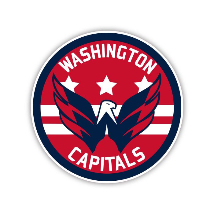 Washington Capitals - Circle With Bird In Middle  - Iron On - Custom Size