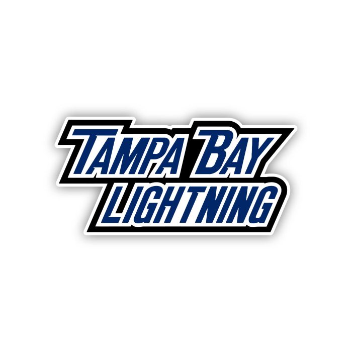 Tampa Bay Lightning - Name - Iron On - Custom Size