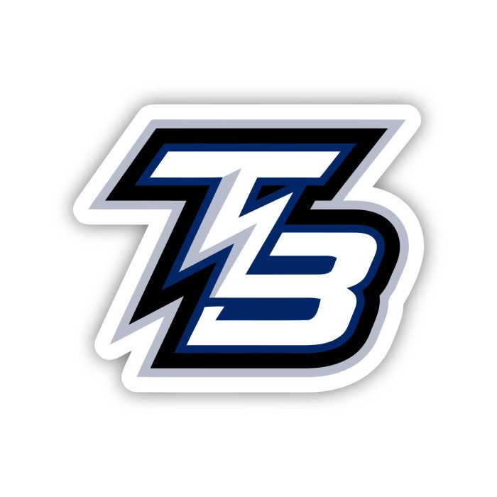 Tampa Bay Lightning - TB - Iron On - Custom Size