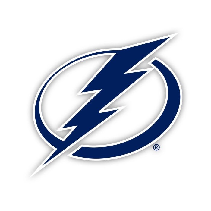 Tampa Bay Lightning - Lightning Bolt Oval - Iron On - Custom Size