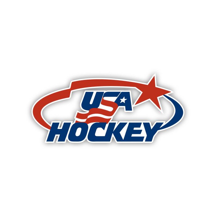 USA Hockey National Team  - Iron On - Custom Size