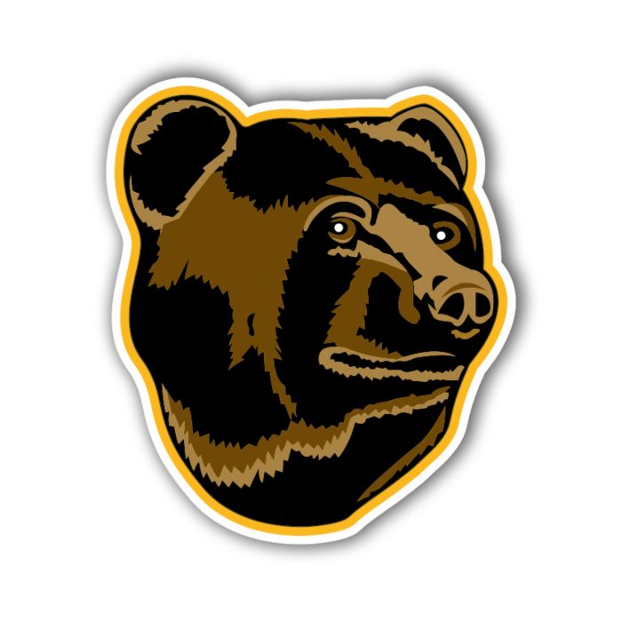 Boston Bruins - Bear's Head - Iron On - Custom Size