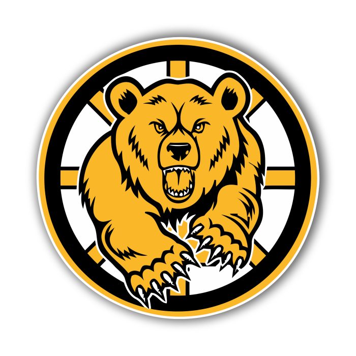 Boston Bruins - Circle With Yellow Bear - Iron On - Custom Size