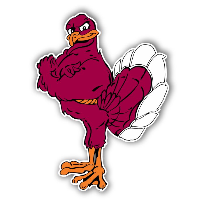 Virginia Tech - Hokiebird - Iron On - Custom Size