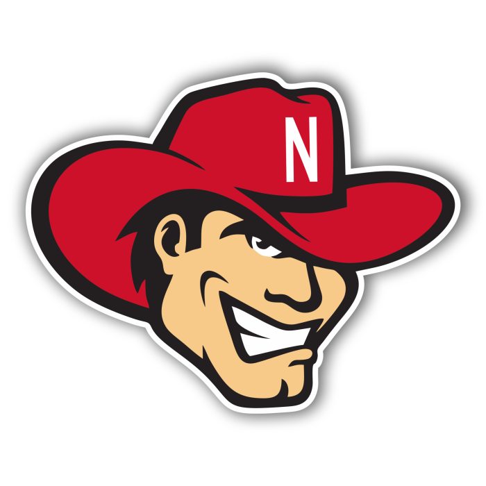 Nebraska Huskers - Iron On - Custom Size