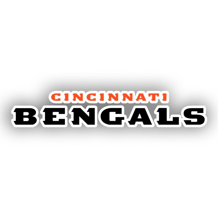 Cincinnati Bengals - Words - Iron On - Custom Size