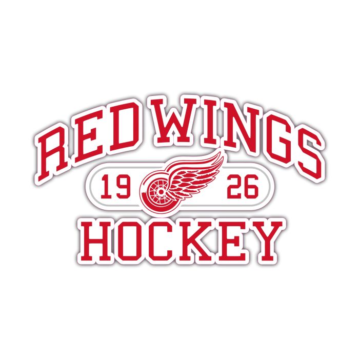 Detroit Red Wings - Red Wings Hockey - Iron On - Custom Size