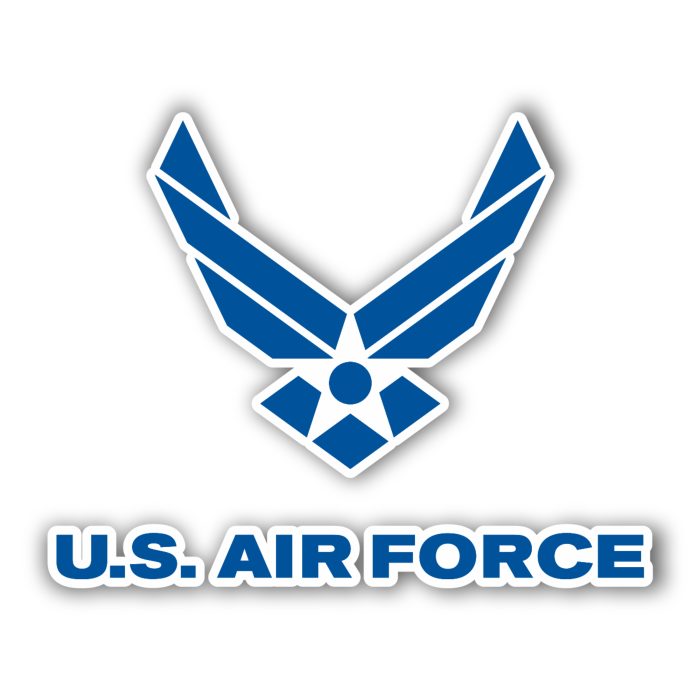 Air Force - Wings With Name - Iron On - Custom Size