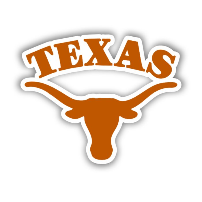 Texas Longhorns - Texas with Longhorn Head Below - Iron On - Custom Size