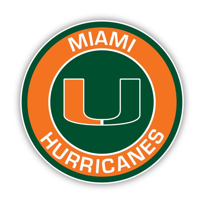 Miami Hurricanes - Orange and Green Circle  - Iron On - Custom Size