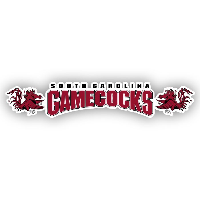 South Carolina Gamecocks - Name with   Rooster- Iron On - Custom Size