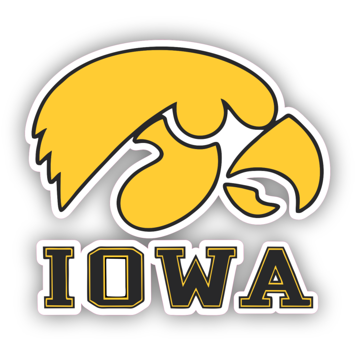 Iowa Hawkeyes - Yellow Hawk  - Iron On - Custom Size