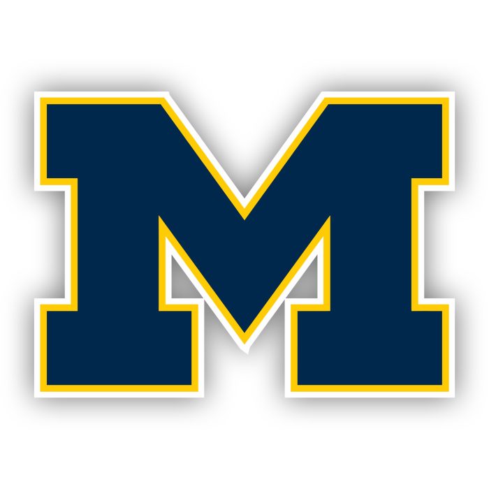 Michigan Wolverines - Blue M - Iron On - Custom Size