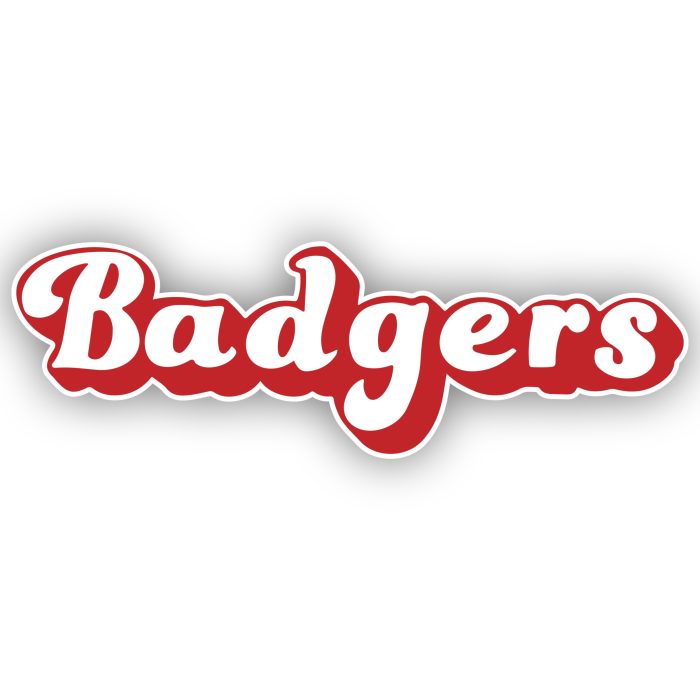 Wisconsin Badgers - White and Red Lettering  - Iron On - Custom Size