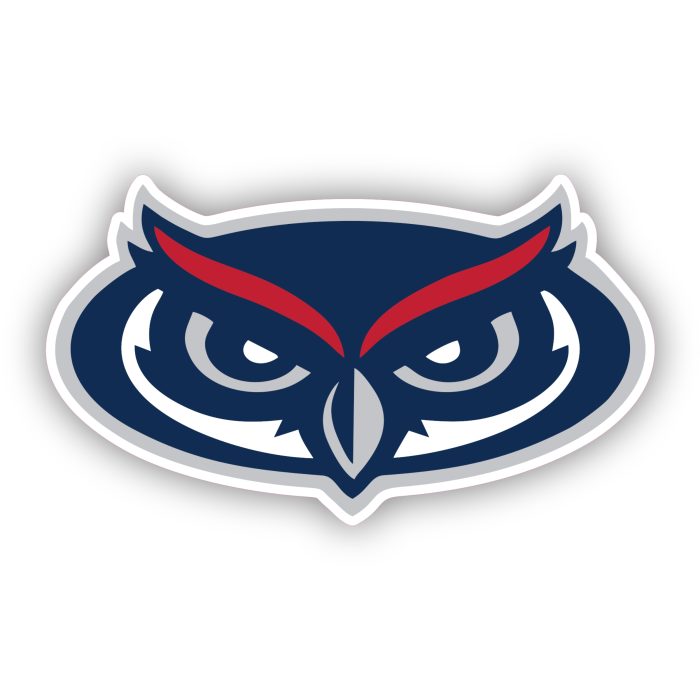 Florida Atlantic Owls - Owl Head  - Iron On - Custom Size