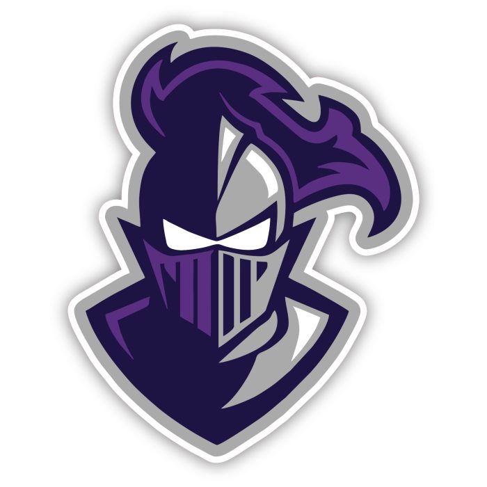 Furman Paladin - Full Color Vinyl Decal - Custom Size