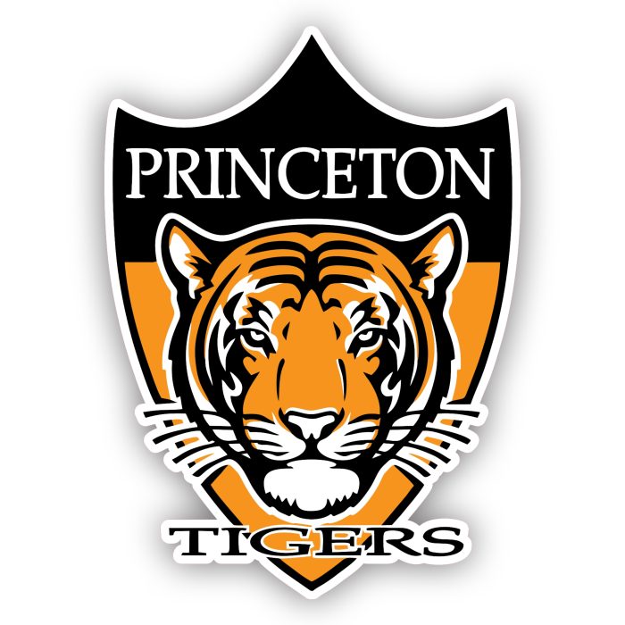 Princeton Tigers  - Iron On - Custom Size