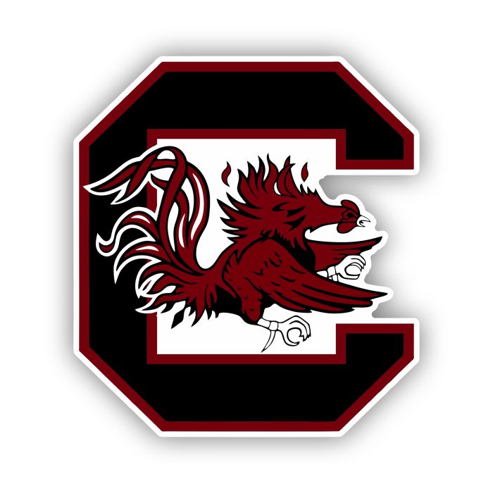 South Carolina Gamecocks - C with Rooster  - Iron On - Custom Size