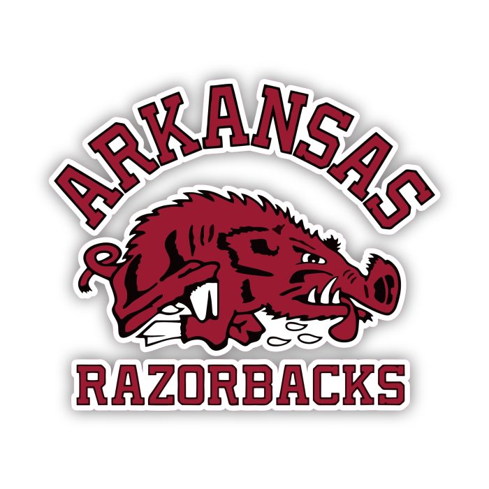 Arkansas Razorbacks - Name With Red Hog In Between - Temporary Tattoo