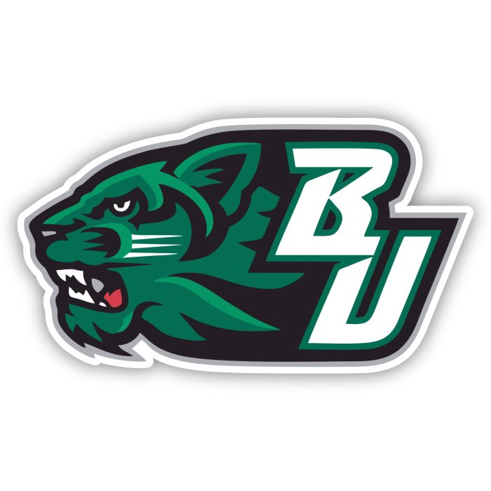 Binghamton Bearcats - Bearcat Head With BU - Temporary Tattoo