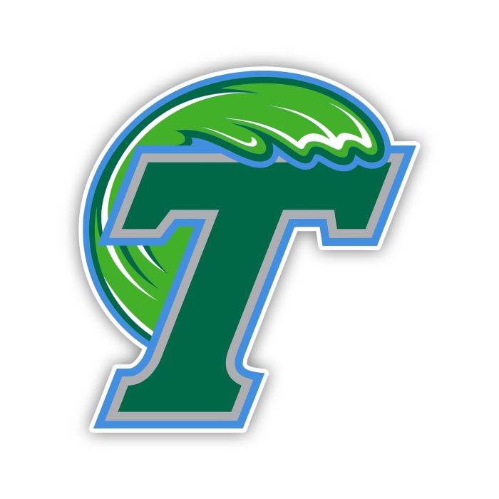 Tulane Green Wave - Iron On - Custom Size