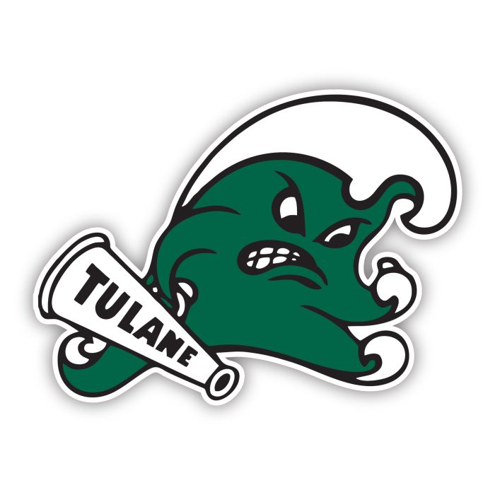 Tulane Green Wave - Iron On - Custom Size