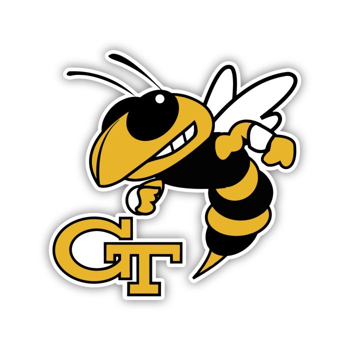 Georgia Tech Yellow Jackets - Iron On - Custom Size