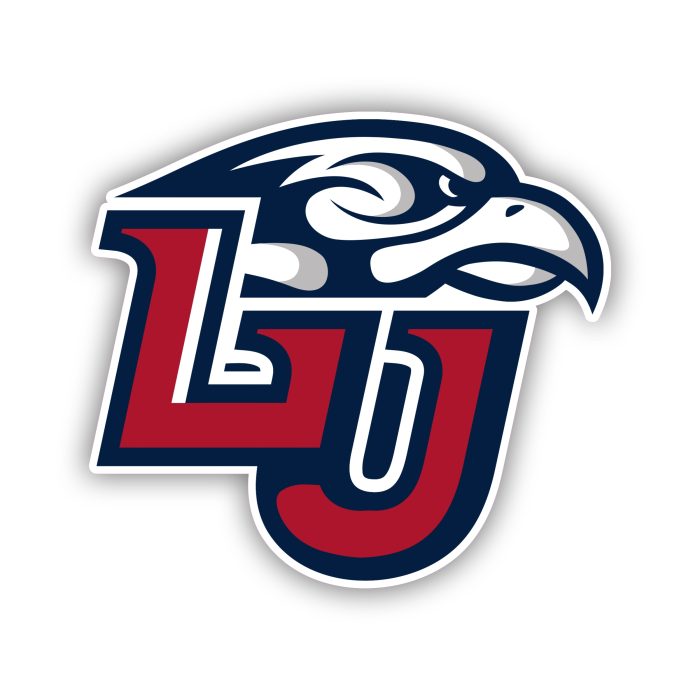 Liberty Flames - LU - Iron On - Custom Size