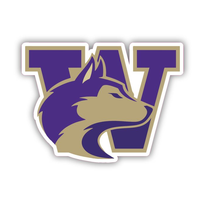Washington Huskies - Iron On - Custom Size