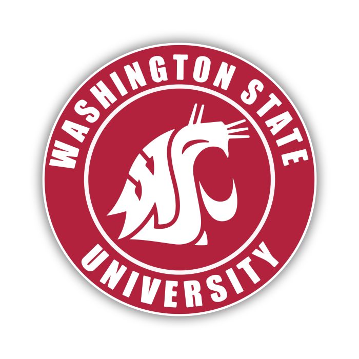 Washington State Cougars - Iron On - Custom Size