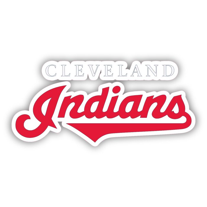 Cleveland Indians - Name - Iron On - Custom Size