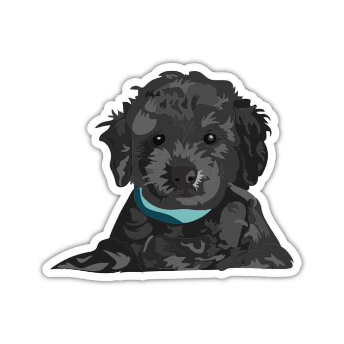 Black Goldendoodle - Iron On - Custom Size