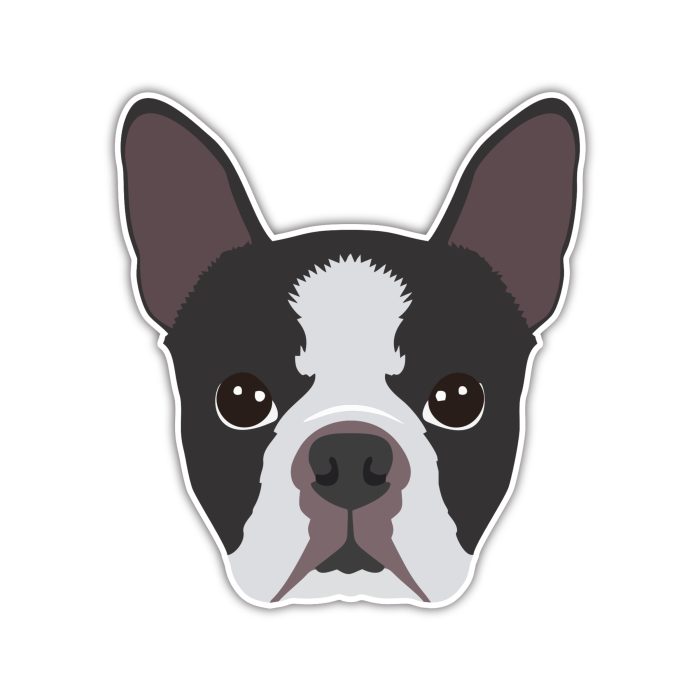 Boston Terrier  - Iron On - Custom Size