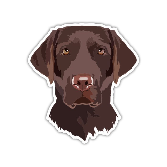 Chocolate Labrador - Iron On - Custom Size