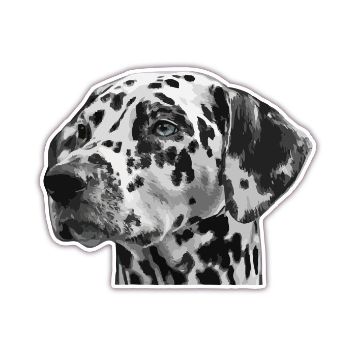 Dalmatian - Iron On - Custom Size