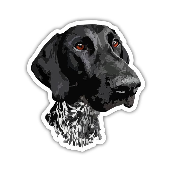 German Shorthaired Pointer - Iron On - Custom Size