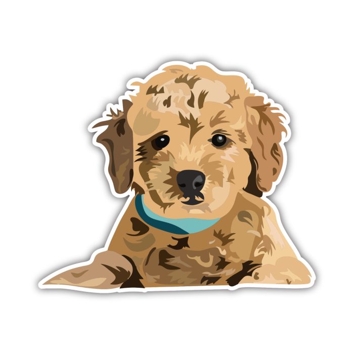 Goldendoodle - Iron On - Custom Size