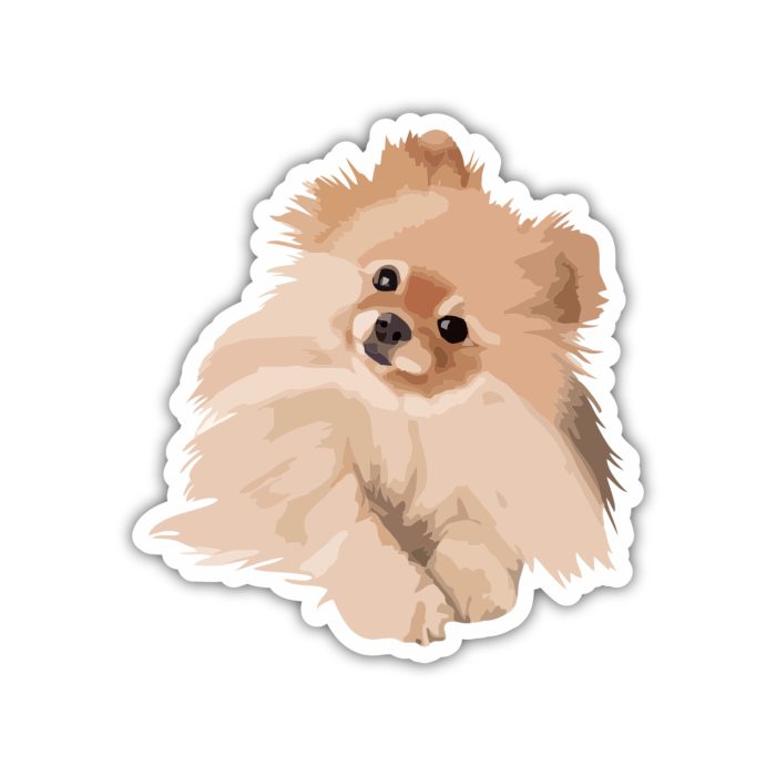 Pomeranian - Iron On - Custom Size