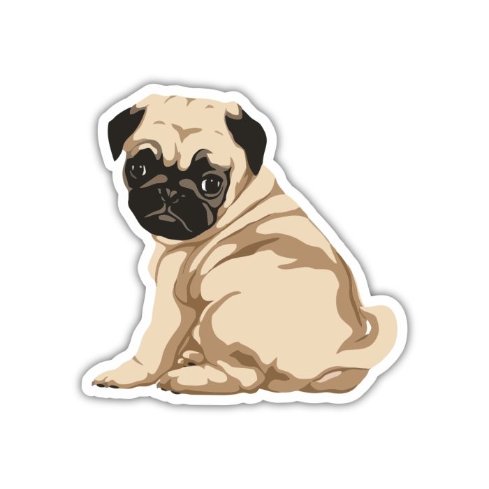 Tan Pug  - Iron On - Custom Size